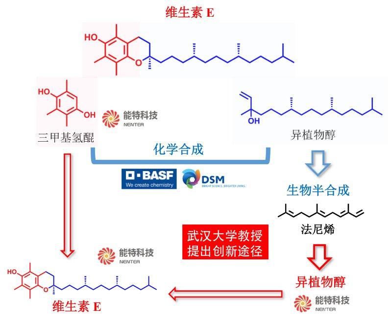 1548833214701719.jpg 维生素.jpg